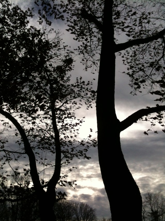 Paint Creek • 10 January 2013 • 2:14 pm