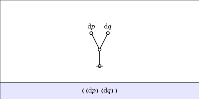 Cactus Graph ((dp)(dq))