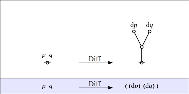 Cactus Graph pq Diff ((dp)(dq))